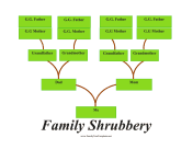 Family Tree Shrubbery