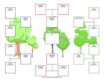 3-Generation Foster Family Tree Template