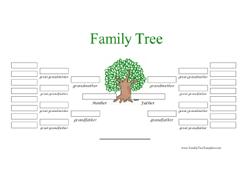 5 Generation Family Tree in Color Template