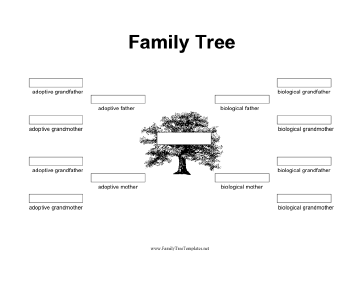 Family Tree with Biological and Adoptive Parents Template