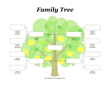 Two Fathers Adoptive Family Tree Template