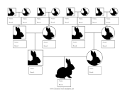 Rabbit Breed Family Tree family tree template