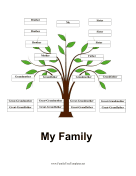 4 Generation Family Tree with Siblings