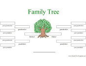 4 Generation Family Tree in Color