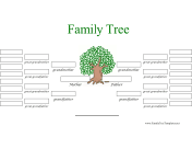 5 Generation Family Tree in Color
