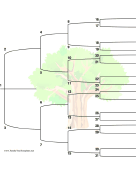 5 Generation Family Tree with Brackets and Colorful Tree
