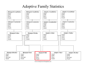 Adoptive Family Statistics