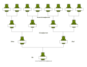 Dinosaur 4 Generation Family Tree