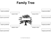Family Tree with Biological and Adoptive Parents