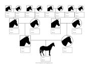 Horse Breed Family Tree