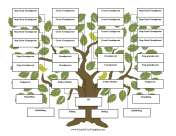 Step-Family Tree Four Generations With Siblings