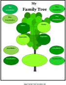 Stepfamily Tree
