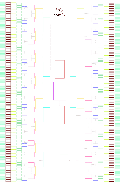 1-Page Colorful 11-Generation Family Tree Template