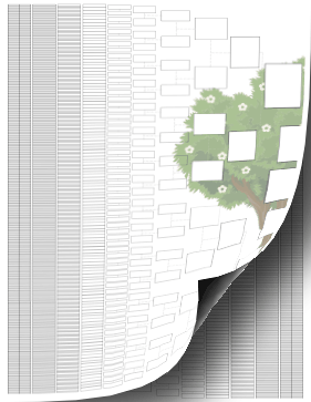 12-Generation Family Tree Graphic Template