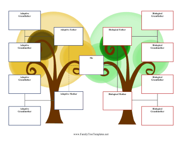 3-Generation Adoption Family Tree Template
