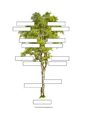 4 Generation Family Tree without Labels Template