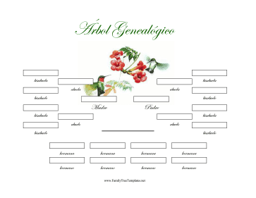 4 Generacion Arbol Genealogico Con Hermanos Template