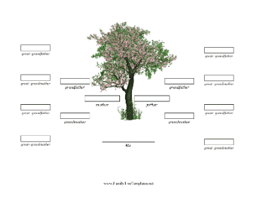 4 Generation Family Tree Cherry Blossom Template