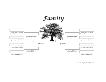 4 Generation Family Tree Template