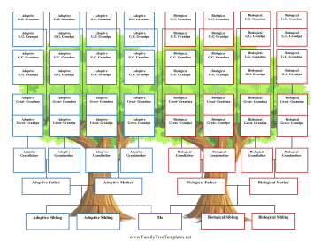 5-Generation Adoption Family Tree Template