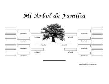 5 Generacion Arbol Genealogico Template