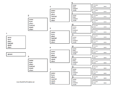 5 Generation Family Tree with Vital Statistics Template