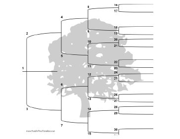 5 Generation Family Tree with Brackets Template