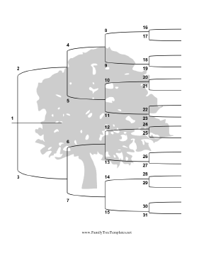 5 Generation Family Tree with Brackets - Vertical Template