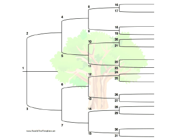 5 Generation Family Tree with Brackets and Colorful Tree Template