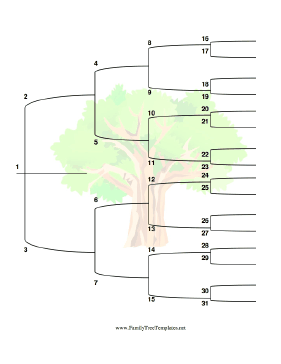 5 Generation Family Tree with Brackets and Colorful Tree - Vertical Template