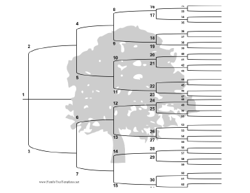 6 Generation Family Tree with Brackets Template