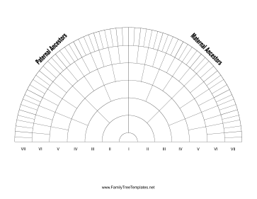 7-Generation Fan Template