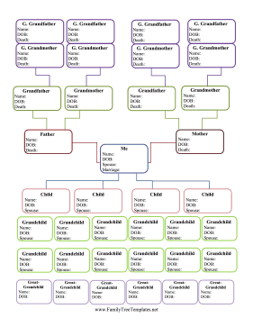 7-Generation Hourglass Family Tree Template