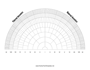 9-Generation Fan Template