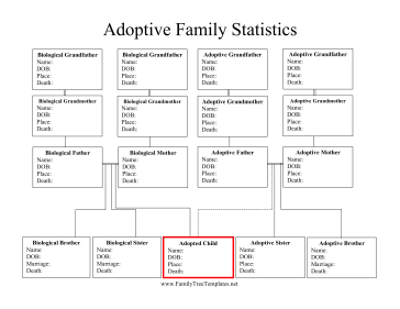Adoptive Family Statistics Template