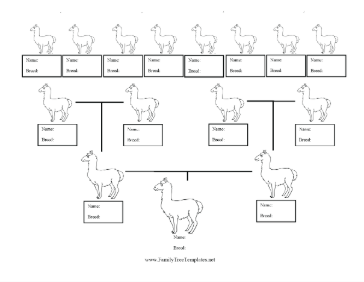 Alpaca Breed Family Tree Template
