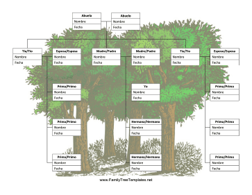 5 Generacion Arbol Genealogico Template