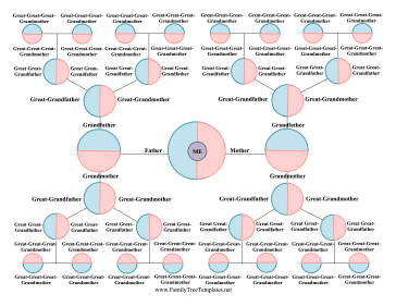 Brainstorm Family Tree Template