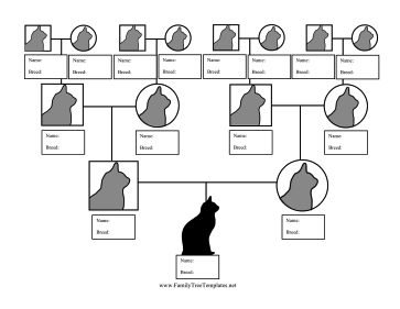 Cat Breed Family Tree Template