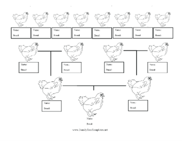 Chicken Family Tree Template