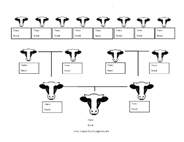 Cow Breed Family Tree Template