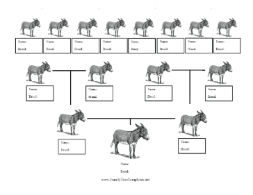 Donkey Breed Family Tree Template