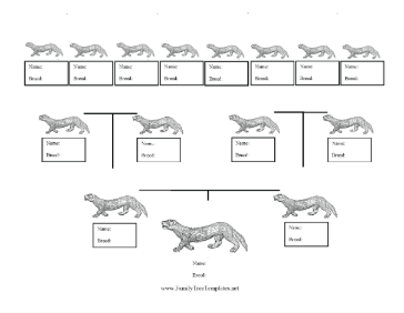 Ferret Breed Family Tree Template