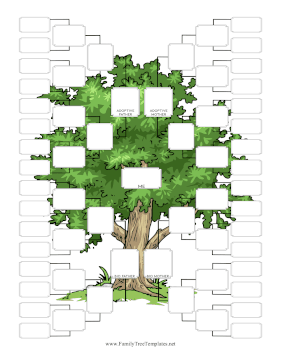 Five Generation Adoptive And Bio Family Template