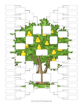 Five Generation Step-Family Template