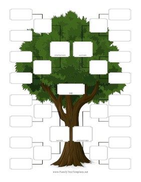 Four Generation Step-Family Template