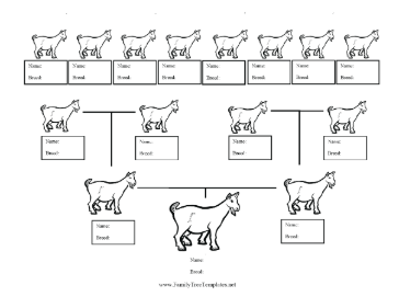 Goat Breed Family Tree Template
