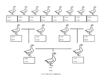 Goose Breed Family Tree Template
