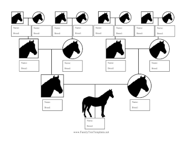 Horse Breed Family Tree Template