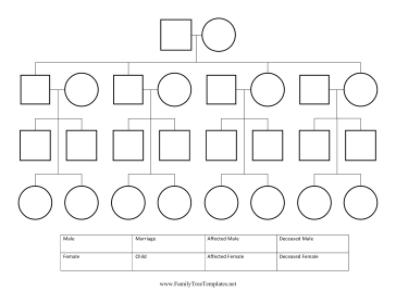 Pedigree Chart Template